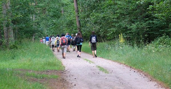 Oddział Miejski Polskiego Towarzystwa Turystyczno-Krajoznawczego im. Mariana Sydowa w Toruniu zaprasza mieszkańców Torunia i okolic na dwie wycieczki: 30 września do Pałacu Trojanowskich w Aleksandrowie Kujawskim, a 3 października na trasę z Pigży przez Zamek Bierzgłowski i Barbarkę.